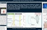 Synchronized Diaphragmatic Stimulation Effects on Cardiovascular Function: Advanced Instrumentation Heart Failure Animal Model