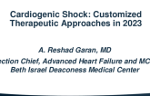 Cardiogenic Shock: Customized Therapeutic Approaches in 2023