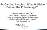 AI in Cardiac Imaging: What is Hidden Behind the ECHOCARDIOGRAPHIC Image?
