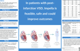 Impella as a Bridge-to-Closure in Post-Infarction Ventricular Septal Defect