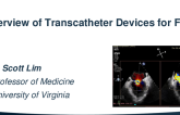 Overview of Transcatheter Devices for FMR