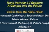 Trans-Valvular LV Support: a Glimpse Into the Future