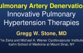 Pulmonary Artery Denervation: Innovative Pulmonary Hypertension Therapies