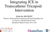 Integrating ICE in Transcatheter Tricupsid Intervention