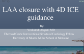 LAA closure with 4D ICE guidance