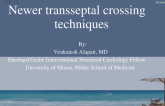 Newer transseptal crossing techniques