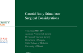 Carotid Body Stimulator Surgical Considerations