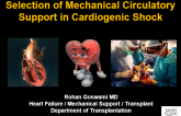 Selection of Mechanical Circulatory Support in Cardiogenic Shock