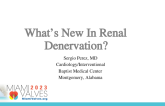 What’s New In Renal Denervation?