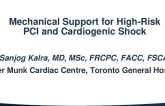 Case and Technique Reviews: High-Risk PCI and Cardiogenic Shock – The Role of Hemodynamic Support