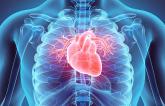 New Chronic Heart Disease Guidelines Update Roles of GDMT, Imaging, and Revascularization 
