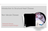 Introduction to Structural Heart Disease: Non Valvular Disease   