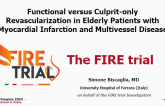 Functional versus Culprit only Revascularization in Elderly Patients with Myocardial Infarction and Multivessel Disease