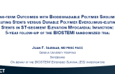 Long-Term Outcomes with Biodegradable Polymer Sirolimus-Eluting Stents Versus Durable Polymer Everolimus-Eluting Stents in Patients With STEMI: 5-Year Follow-up of the Biostemi Randomized Trial