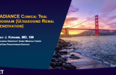 RADIANCE Clinical Trial Program (Ultrasound Renal Denervation)