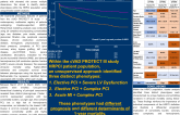 Three Phenotypes of High-Risk PCI Patients - Insights from the PROTECT III Registry