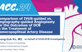 Comparison of IVUS-guided vs. Angiography-guided Angioplasty for the Outcomes of DCB in the Treatment of Femoropopliteal Artery Disease