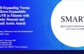 Self-Expanding Versus Balloon-Expandable TAVR in Patients with Aortic Stenosis and Small Aortic Annuli
