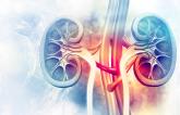 Kidney Events High in Older Patients After HF Hospitalization
