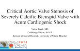 Critical Aortic Valve Stenosis of Severely Calcific Bicuspid Valve with Acute Cardiogenic Shock