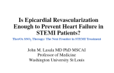 Is Epicardial Revascularization Enough to Prevent Heart Failure in STEMI Patients?