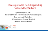 Investigational Self-Expanding Valve MAC Subset
