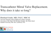Transcatheter Mitral Valve Replacement. Why does it take so long?