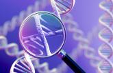 Genetic Tests for Predicting Clopidogrel Response Gain Traction: AHA