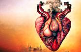 Pollution Deserves More Attention in Cardiology—and More Action