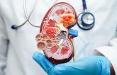 Both SGLT2 and GLP-1 Drugs Help Heart and Kidneys in Type 2 Diabetes