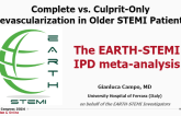 The EARTH-STEMI IPD meta-analysis