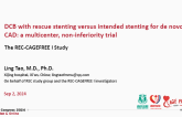 DCB with rescue stenting versus intended stenting for de novo CAD: a multicenter, non-inferiority trial