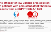 The efficacy of low-voltage-area ablation in patients with persistent atrial fibrillation: Results from a SUPPRESS-AF trial