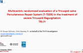 Multicentric randomized evaluation of a Tricuspid valve Percutaneous Repair System (T-TEER) in the treatment of  severe Tricuspid Regurgitation TRI.Fr
