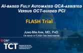 Artificial Intelligence-Based Fully Automated Quantitative Coronary Angiography Versus Optical Coherence Tomography Guidance for Coronary Stent Implantation (FLASH)