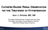 Renal Denervation for Hypertension: What You Need to Know