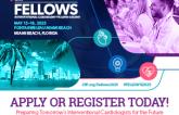 fellows-2025