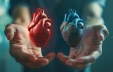 What’s in a Name: Is It Time to Choose Between TAVI and TAVR?