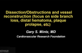 Dissection/Obstructions and vessel reconstruction (focus on side branch loss, distal hemtoma, plaque prolapse, etc)