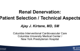 Renal Denervation: Patient Selection/Technical Aspects
