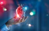 Mechanical Circulatory Support Doesn’t Reduce Infarct Size in STEMI