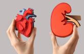 Semaglutide Benefits Diabetic Patients Regardless of CVD Status: FLOW Subanalysis