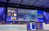 Transseptal TMVR in MAC Shows Promise in Registry
