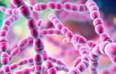 POET II Supports Shorter Antibiotic Course in Infective Endocarditis