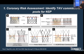 TAVR Masterclass: Aortic Valve-in-Valve Procedures with High Risk for Coronary Occlusion