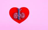 ESC Recommends CKD Testing in All Patients With CVD