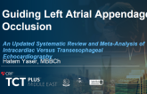 Guiding Left Atrial Appendage Occlusion