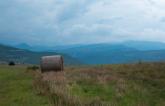 Pre- and Post-EVAR Care Not Optimal for Rural AAA Patients