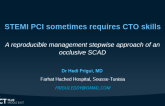 STEMI PCI sometimes requires CTO skills A reproducible management stepwise approach of an occlusive SCAD