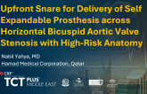 Upfront Snare for Delivery of Self Expandable Prosthesis across Horizontal Bicuspid Aortic Valve Stenosis with High-Risk Anatomy​